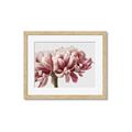 Picture of Flower isolated _GroupedProduct_Rectangle_Landscape_Photography _GroupedProduct_Rectangle_Landscape_Framed_Matted_