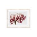 Picture of Flower isolated _GroupedProduct_Rectangle_Landscape_Photography _GroupedProduct_Rectangle_Landscape_Framed_Matted_