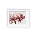 Picture of Flower isolated _GroupedProduct_Rectangle_Landscape_Photography _GroupedProduct_Rectangle_Landscape_Framed_Matted_