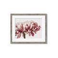 Picture of Flower isolated _GroupedProduct_Rectangle_Landscape_Photography _GroupedProduct_Rectangle_Landscape_Framed_Matted_