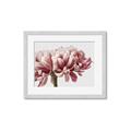 Picture of Flower isolated _GroupedProduct_Rectangle_Landscape_Photography _GroupedProduct_Rectangle_Landscape_Framed_Matted_