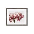 Picture of Flower isolated _GroupedProduct_Rectangle_Landscape_Photography _GroupedProduct_Rectangle_Landscape_Framed_Matted_
