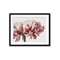 Picture of Flower isolated _GroupedProduct_Rectangle_Landscape_Photography _GroupedProduct_Rectangle_Landscape_Framed_Matted_
