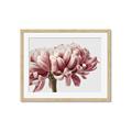 Picture of Flower isolated _GroupedProduct_Rectangle_Landscape_Photography _GroupedProduct_Rectangle_Landscape_Framed_Matted_