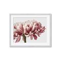 Picture of Flower isolated _GroupedProduct_Rectangle_Landscape_Photography _GroupedProduct_Rectangle_Landscape_Framed_Matted_