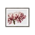 Picture of Flower isolated _GroupedProduct_Rectangle_Landscape_Photography _GroupedProduct_Rectangle_Landscape_Framed_Matted_