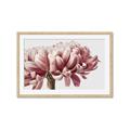 Picture of Flower isolated _GroupedProduct_Rectangle_Landscape_Photography _GroupedProduct_Rectangle_Landscape_Framed_Matted_