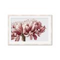 Picture of Flower isolated _GroupedProduct_Rectangle_Landscape_Photography _GroupedProduct_Rectangle_Landscape_Framed_Matted_