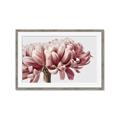 Picture of Flower isolated _GroupedProduct_Rectangle_Landscape_Photography _GroupedProduct_Rectangle_Landscape_Framed_Matted_