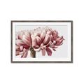 Picture of Flower isolated _GroupedProduct_Rectangle_Landscape_Photography _GroupedProduct_Rectangle_Landscape_Framed_Matted_