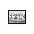 Picture of White Horses _GroupedProduct_Rectangle_Landscape_Photography _GroupedProduct_Rectangle_Landscape_Framed_Matted_