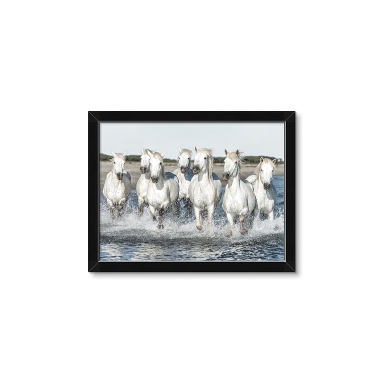 Picture of White Horses _GroupedProduct_Rectangle_Landscape_Photography _GroupedProduct_Rectangle_Landscape_Framed_Matted_