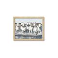 Picture of White Horses _GroupedProduct_Rectangle_Landscape_Photography _GroupedProduct_Rectangle_Landscape_Framed_Matted_