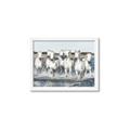 Picture of White Horses _GroupedProduct_Rectangle_Landscape_Photography _GroupedProduct_Rectangle_Landscape_Framed_Matted_
