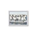 Picture of White Horses _GroupedProduct_Rectangle_Landscape_Photography _GroupedProduct_Rectangle_Landscape_Framed_Matted_