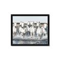Picture of White Horses _GroupedProduct_Rectangle_Landscape_Photography _GroupedProduct_Rectangle_Landscape_Framed_Matted_