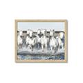 Picture of White Horses _GroupedProduct_Rectangle_Landscape_Photography _GroupedProduct_Rectangle_Landscape_Framed_Matted_