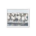 Picture of White Horses _GroupedProduct_Rectangle_Landscape_Photography _GroupedProduct_Rectangle_Landscape_Framed_Matted_