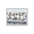 Picture of White Horses _GroupedProduct_Rectangle_Landscape_Photography _GroupedProduct_Rectangle_Landscape_Framed_Matted_