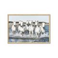 Picture of White Horses _GroupedProduct_Rectangle_Landscape_Photography _GroupedProduct_Rectangle_Landscape_Framed_Matted_