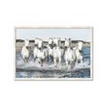 Picture of White Horses _GroupedProduct_Rectangle_Landscape_Photography _GroupedProduct_Rectangle_Landscape_Framed_Matted_