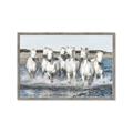 Picture of White Horses _GroupedProduct_Rectangle_Landscape_Photography _GroupedProduct_Rectangle_Landscape_Framed_Matted_