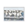 Picture of White Horses _GroupedProduct_Rectangle_Landscape_Photography _GroupedProduct_Rectangle_Landscape_Framed_Matted_