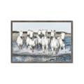 Picture of White Horses _GroupedProduct_Rectangle_Landscape_Photography _GroupedProduct_Rectangle_Landscape_Framed_Matted_