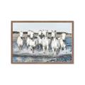 Picture of White Horses _GroupedProduct_Rectangle_Landscape_Photography _GroupedProduct_Rectangle_Landscape_Framed_Matted_