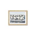 Picture of White Horses _GroupedProduct_Rectangle_Landscape_Photography _GroupedProduct_Rectangle_Landscape_Framed_Matted_