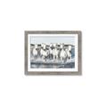 Picture of White Horses _GroupedProduct_Rectangle_Landscape_Photography _GroupedProduct_Rectangle_Landscape_Framed_Matted_