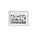 Picture of White Horses _GroupedProduct_Rectangle_Landscape_Photography _GroupedProduct_Rectangle_Landscape_Framed_Matted_