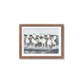 Picture of White Horses _GroupedProduct_Rectangle_Landscape_Photography _GroupedProduct_Rectangle_Landscape_Framed_Matted_