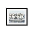 Picture of White Horses _GroupedProduct_Rectangle_Landscape_Photography _GroupedProduct_Rectangle_Landscape_Framed_Matted_