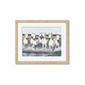 Picture of White Horses _GroupedProduct_Rectangle_Landscape_Photography _GroupedProduct_Rectangle_Landscape_Framed_Matted_