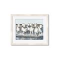 Picture of White Horses _GroupedProduct_Rectangle_Landscape_Photography _GroupedProduct_Rectangle_Landscape_Framed_Matted_