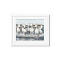 Picture of White Horses _GroupedProduct_Rectangle_Landscape_Photography _GroupedProduct_Rectangle_Landscape_Framed_Matted_