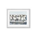 Picture of White Horses _GroupedProduct_Rectangle_Landscape_Photography _GroupedProduct_Rectangle_Landscape_Framed_Matted_