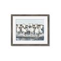 Picture of White Horses _GroupedProduct_Rectangle_Landscape_Photography _GroupedProduct_Rectangle_Landscape_Framed_Matted_