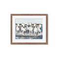 Picture of White Horses _GroupedProduct_Rectangle_Landscape_Photography _GroupedProduct_Rectangle_Landscape_Framed_Matted_