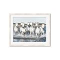 Picture of White Horses _GroupedProduct_Rectangle_Landscape_Photography _GroupedProduct_Rectangle_Landscape_Framed_Matted_