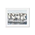 Picture of White Horses _GroupedProduct_Rectangle_Landscape_Photography _GroupedProduct_Rectangle_Landscape_Framed_Matted_