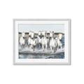 Picture of White Horses _GroupedProduct_Rectangle_Landscape_Photography _GroupedProduct_Rectangle_Landscape_Framed_Matted_