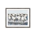 Picture of White Horses _GroupedProduct_Rectangle_Landscape_Photography _GroupedProduct_Rectangle_Landscape_Framed_Matted_