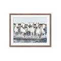 Picture of White Horses _GroupedProduct_Rectangle_Landscape_Photography _GroupedProduct_Rectangle_Landscape_Framed_Matted_