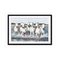 Picture of White Horses _GroupedProduct_Rectangle_Landscape_Photography _GroupedProduct_Rectangle_Landscape_Framed_Matted_
