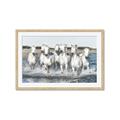 Picture of White Horses _GroupedProduct_Rectangle_Landscape_Photography _GroupedProduct_Rectangle_Landscape_Framed_Matted_