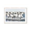 Picture of White Horses _GroupedProduct_Rectangle_Landscape_Photography _GroupedProduct_Rectangle_Landscape_Framed_Matted_