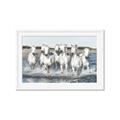 Picture of White Horses _GroupedProduct_Rectangle_Landscape_Photography _GroupedProduct_Rectangle_Landscape_Framed_Matted_