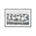 Picture of White Horses _GroupedProduct_Rectangle_Landscape_Photography _GroupedProduct_Rectangle_Landscape_Framed_Matted_